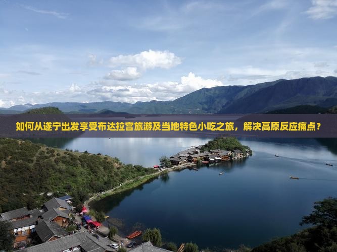 如何从遂宁出发享受布达拉宫旅游及当地特色小吃之旅，解决高原反应痛点？