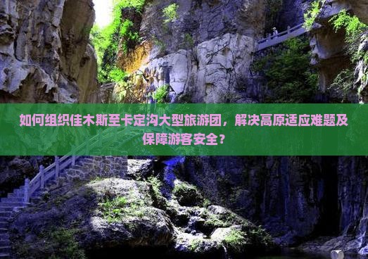 如何组织佳木斯至卡定沟大型旅游团，解决高原适应难题及保障游客安全？