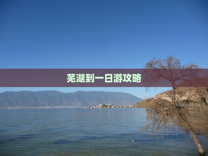 芜湖到一日游攻略