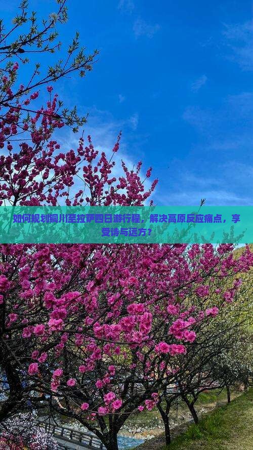如何规划铜川至拉萨四日游行程，解决高原反应痛点，享受诗与远方？