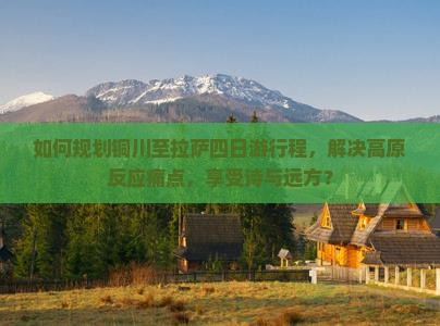 如何规划铜川至拉萨四日游行程，解决高原反应痛点，享受诗与远方？