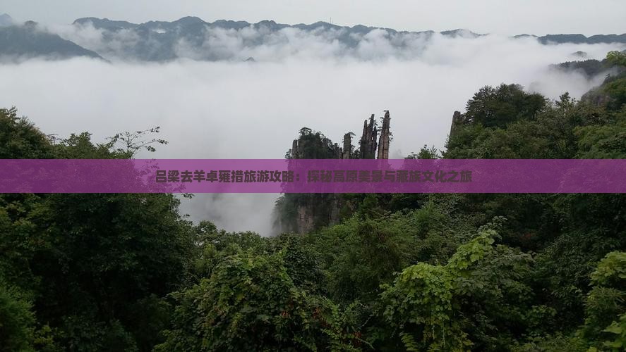 吕梁去羊卓雍措旅游攻略：探秘高原美景与藏族文化之旅