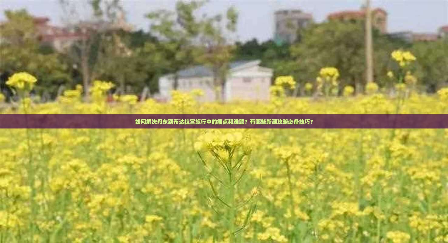 如何解决丹东到布达拉宫旅行中的痛点和难题？有哪些新潮攻略必备技巧？
