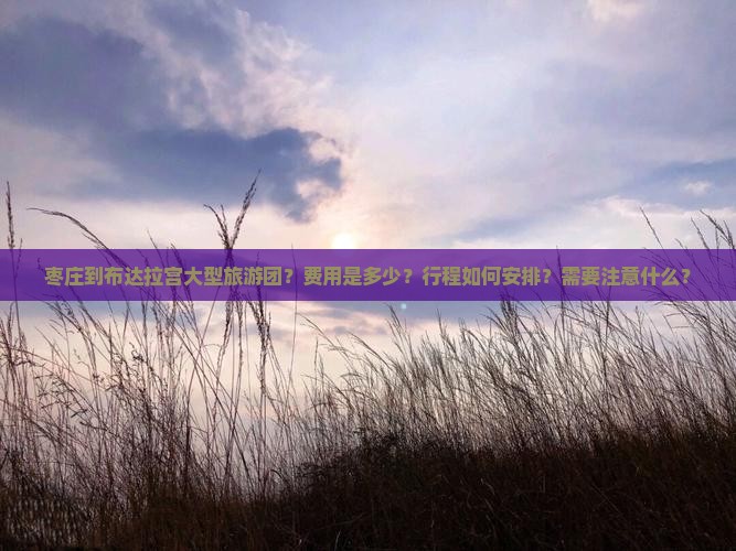 枣庄到布达拉宫大型旅游团？费用是多少？行程如何安排？需要注意什么？