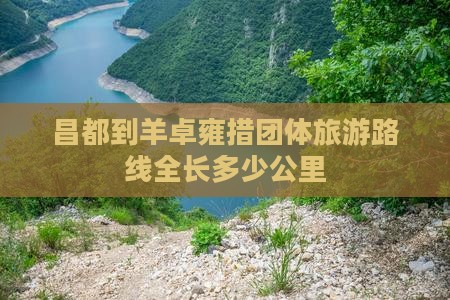 昌都到羊卓雍措团体旅游路线全长多少公里
