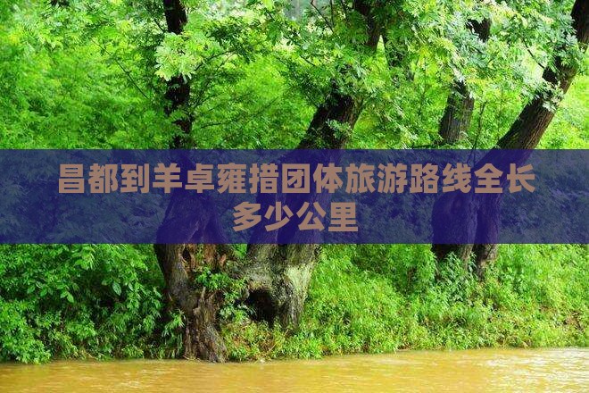 昌都到羊卓雍措团体旅游路线全长多少公里