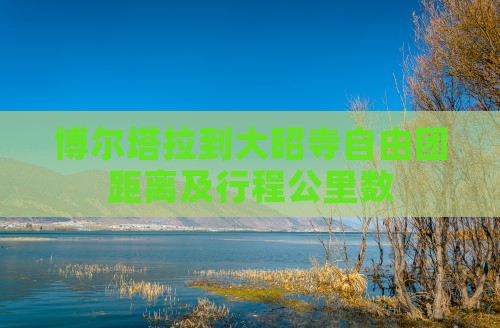 博尔塔拉到大昭寺自由团距离及行程公里数