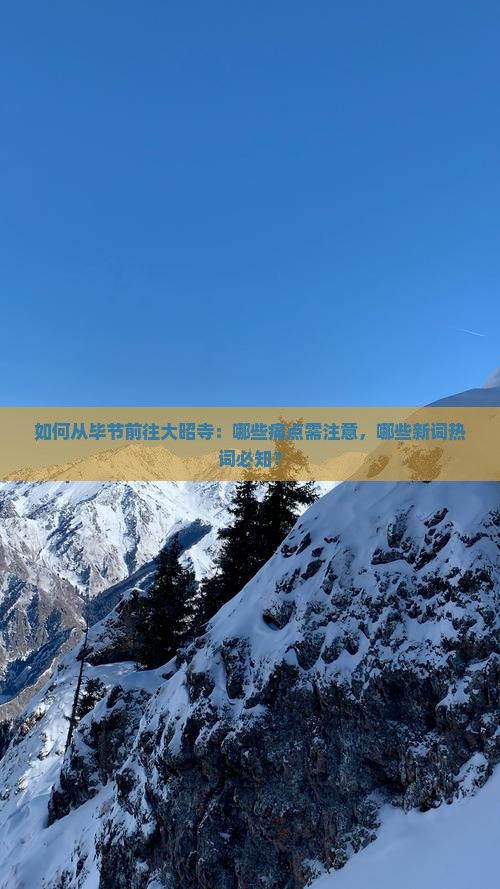 如何从毕节前往大昭寺：哪些痛点需注意，哪些新词热词必知？