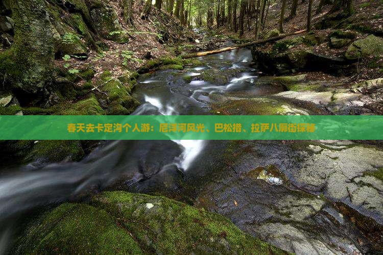 春天去卡定沟个人游：尼洋河风光、巴松措、拉萨八廓街探秘