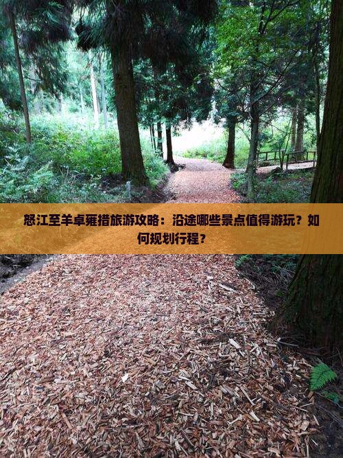 怒江至羊卓雍措旅游攻略：沿途哪些景点值得游玩？如何规划行程？