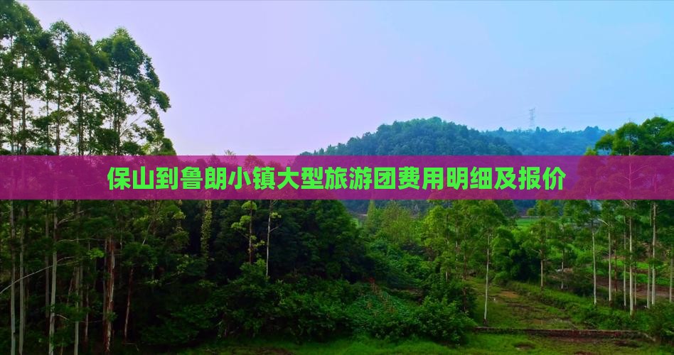 保山到鲁朗小镇大型旅游团费用明细及报价