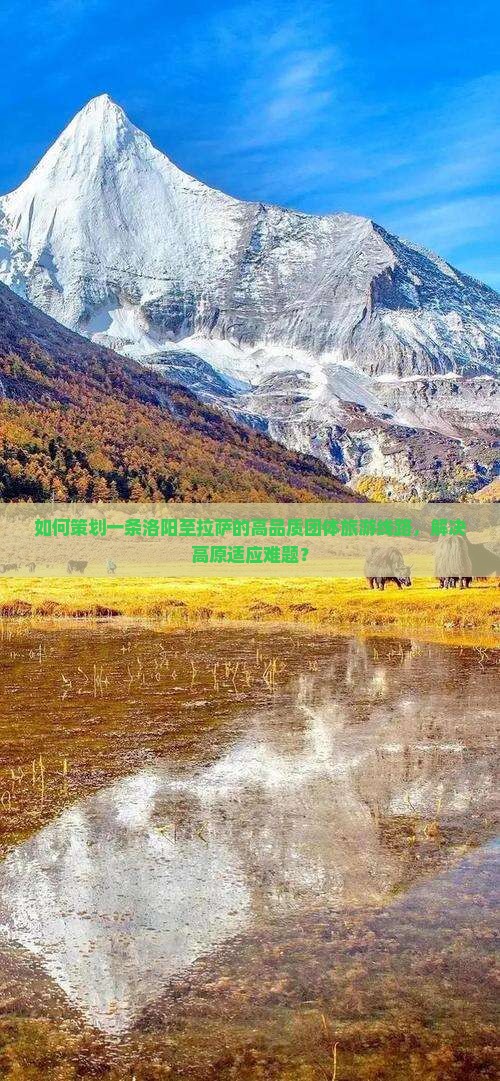 如何策划一条洛阳至拉萨的高品质团体旅游线路，解决高原适应难题？