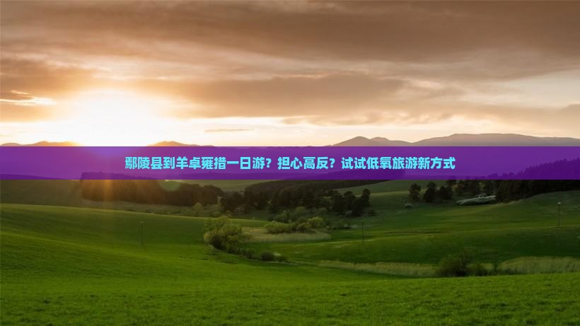 鄢陵县到羊卓雍措一日游？担心高反？试试低氧旅游新方式