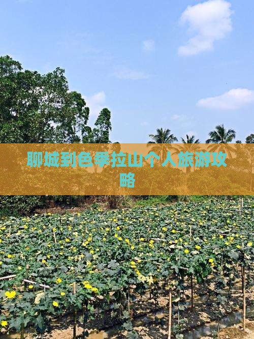 聊城到色季拉山个人旅游攻略