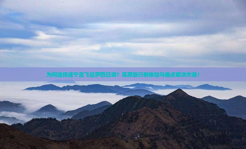 为何选择遂宁直飞拉萨四日游？高原旅行新体验与痛点解决方案！
