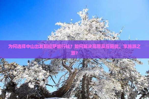 为何选择中山出发到拉萨旅行社？如何解决高原反应困扰，享施游之旅？