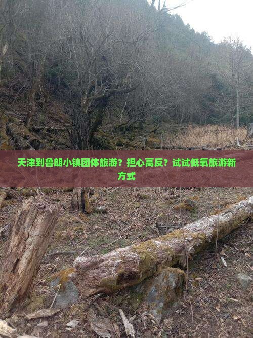 天津到鲁朗小镇团体旅游？担心高反？试试低氧旅游新方式