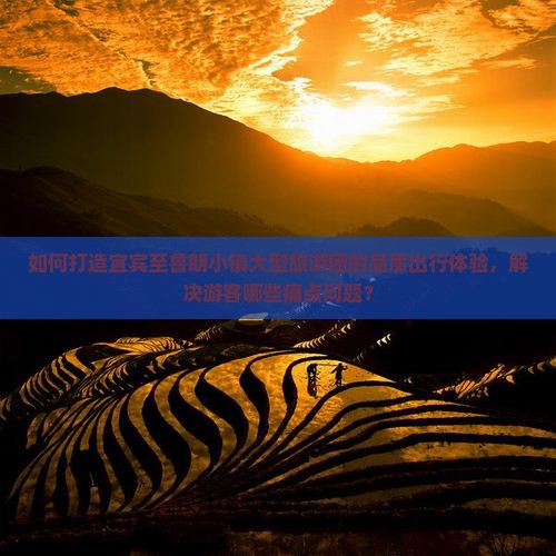 如何打造宜宾至鲁朗小镇大型旅游团的品质出行体验，解决游客哪些痛点问题？