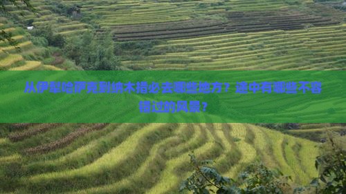 从伊犁哈萨克到纳木措必去哪些地方？途中有哪些不容错过的风景？