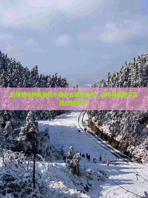 从伊犁哈萨克到纳木措必去哪些地方？途中有哪些不容错过的风景？