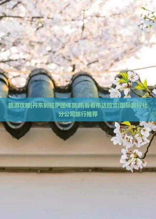 旅游攻略|丹东到拉萨团体旅游|看看布达拉宫|国际旅行社分公司旅行推荐