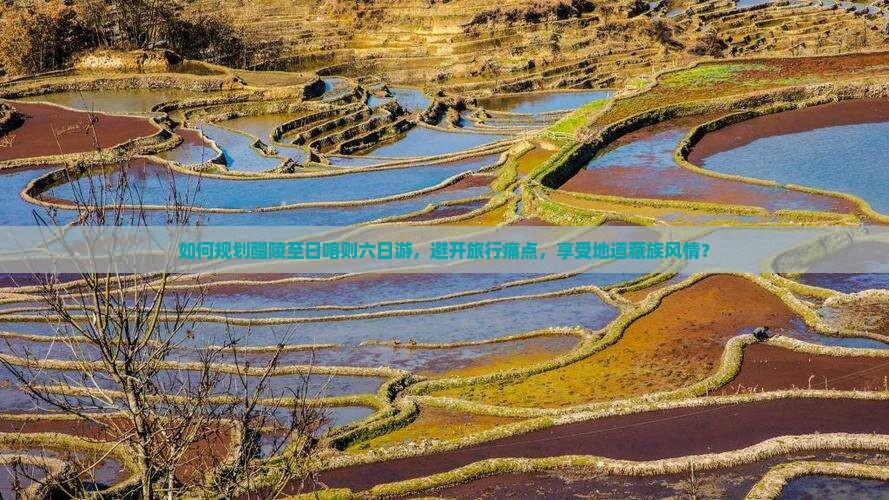 如何规划醴陵至日喀则六日游，避开旅行痛点，享受地道藏族风情？