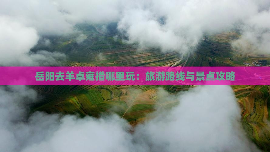 岳阳去羊卓雍措哪里玩：旅游路线与景点攻略
