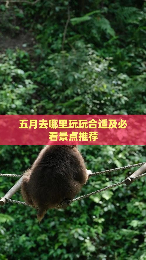 五月去哪里玩玩合适及必看景点推荐