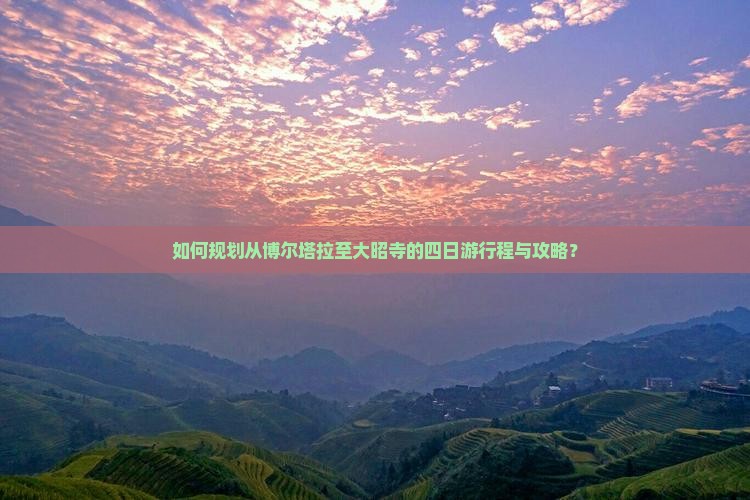 如何规划从博尔塔拉至大昭寺的四日游行程与攻略？