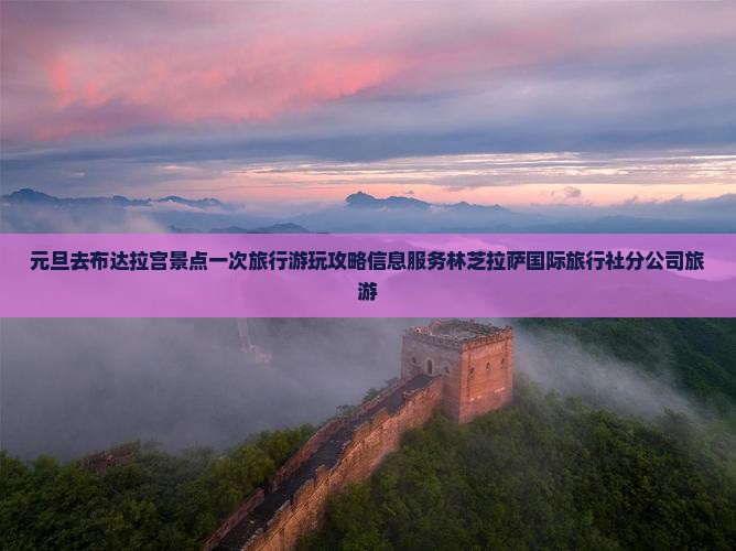 元旦去布达拉宫景点一次旅行游玩攻略信息服务林芝拉萨国际旅行社分公司旅游