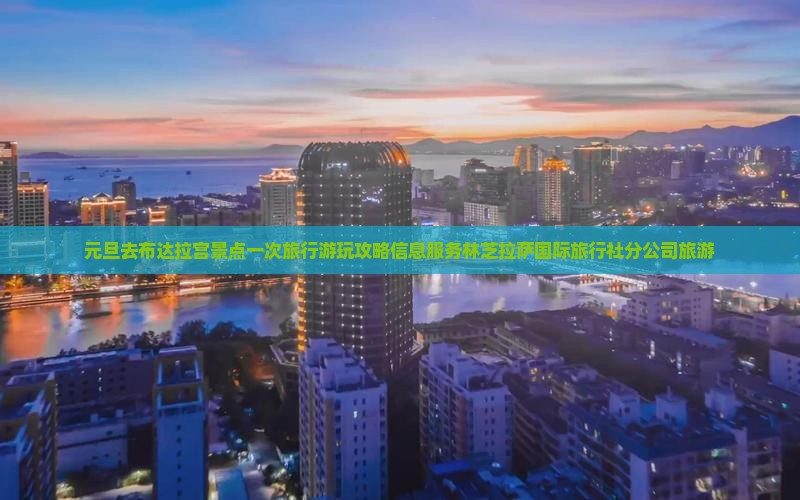 元旦去布达拉宫景点一次旅行游玩攻略信息服务林芝拉萨国际旅行社分公司旅游