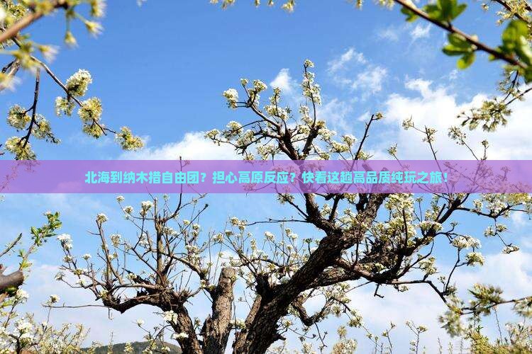 北海到纳木措自由团？担心高原反应？快看这趟高品质纯玩之旅！