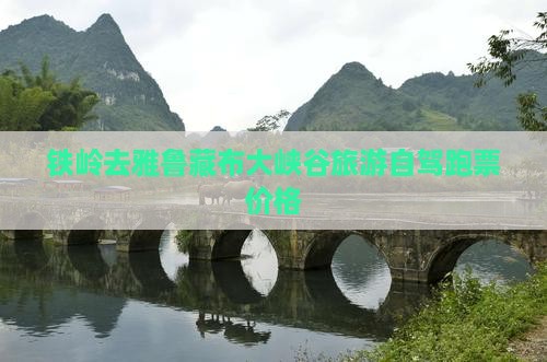 铁岭去雅鲁藏布大峡谷旅游自驾跑票价格