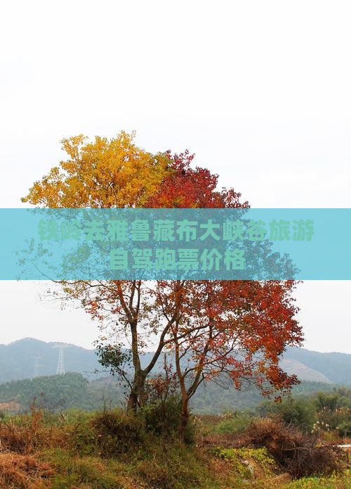 铁岭去雅鲁藏布大峡谷旅游自驾跑票价格