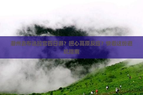 潮州去布达拉宫四日游？担心高原反应？快看这份避坑指南