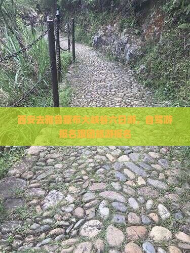 西安去雅鲁藏布大峡谷六日游，自驾游报名跟团旅游报名