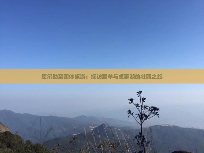 库尔勒至团体旅游：探访藏羊与卓雍湖的壮丽之旅