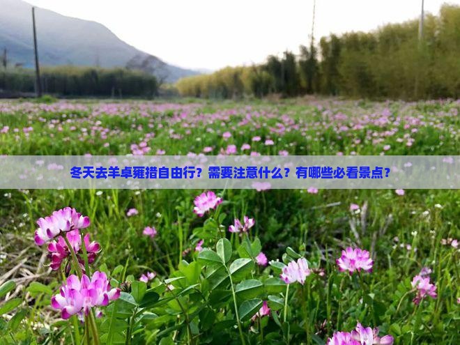 冬天去羊卓雍措自由行？需要注意什么？有哪些必看景点？