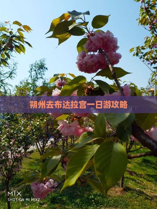 朔州去布达拉宫一日游攻略