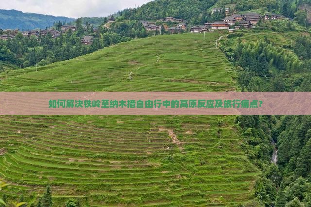 如何解决铁岭至纳木措自由行中的高原反应及旅行痛点？