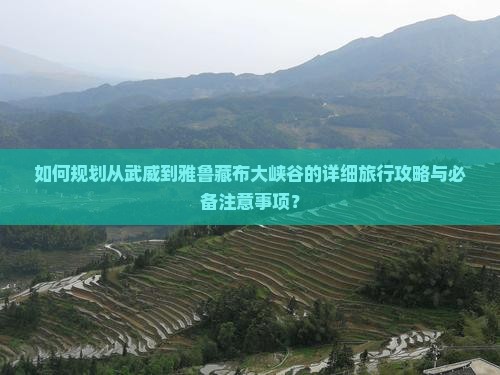 如何规划从武威到雅鲁藏布大峡谷的详细旅行攻略与必备注意事项？
