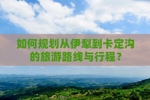 如何规划从伊犁到卡定沟的旅游路线与行程？