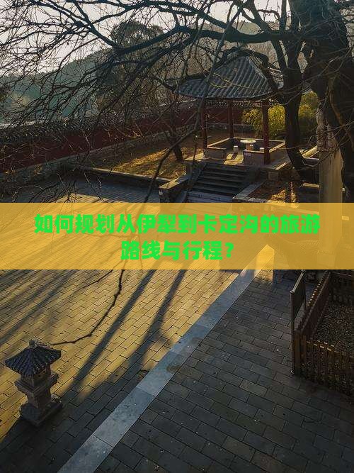 如何规划从伊犁到卡定沟的旅游路线与行程？