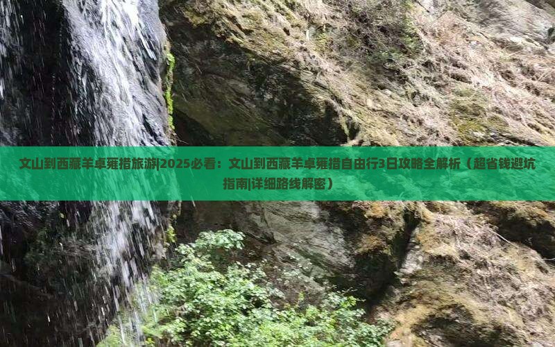 文山到西藏羊卓雍措旅游