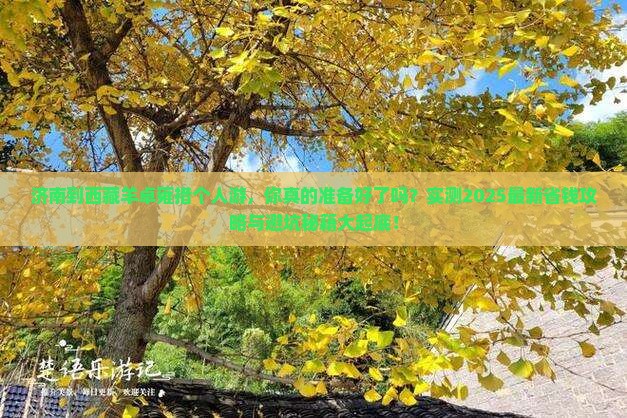 济南到西藏羊卓雍措个人游