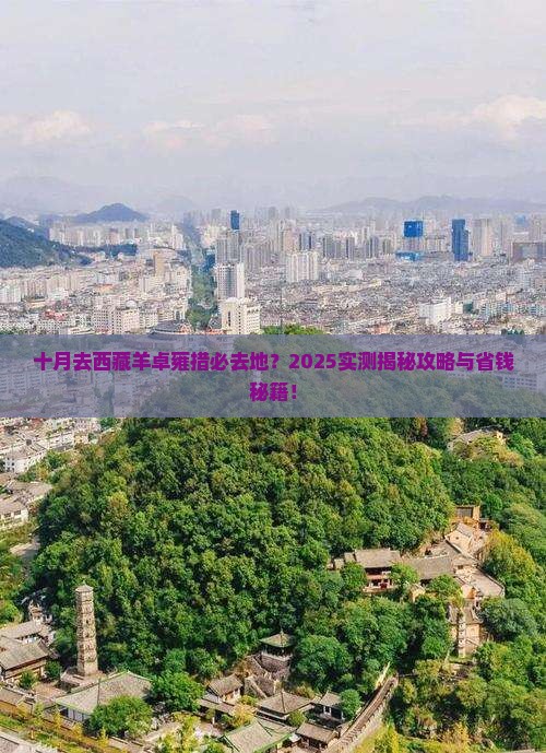 十月去西藏羊卓雍措必去地