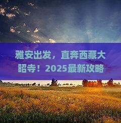 雅安到西藏大昭寺团体旅游