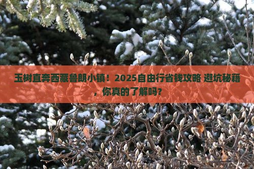 玉树去西藏鲁朗小镇自由行