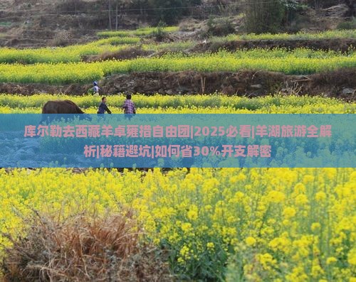 库尔勒去西藏羊卓雍措自由团
