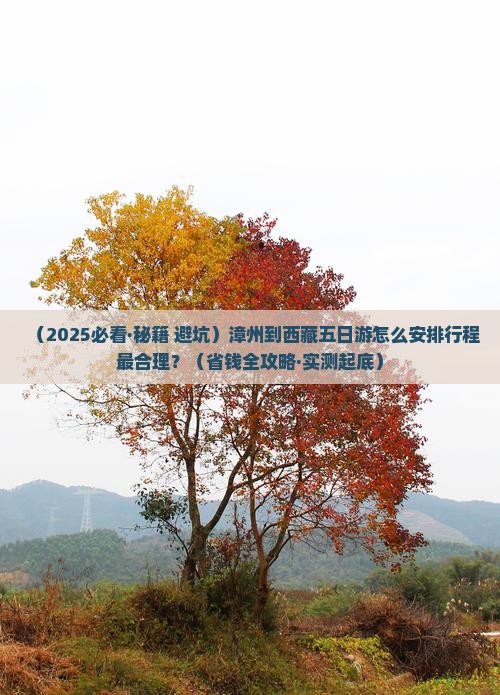 漳州到西藏五日游